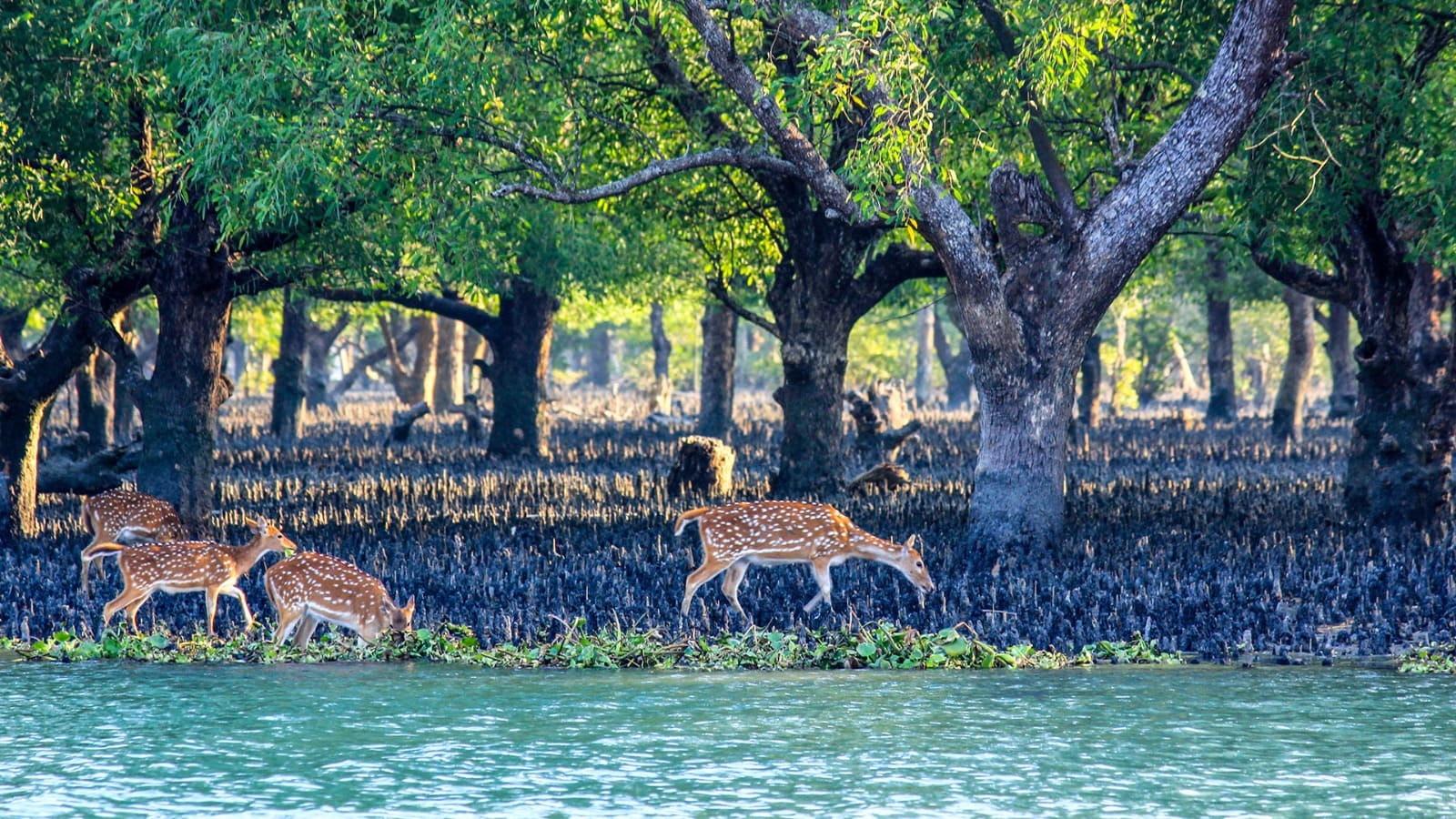 Must Visited Places - Explore Bangladesh